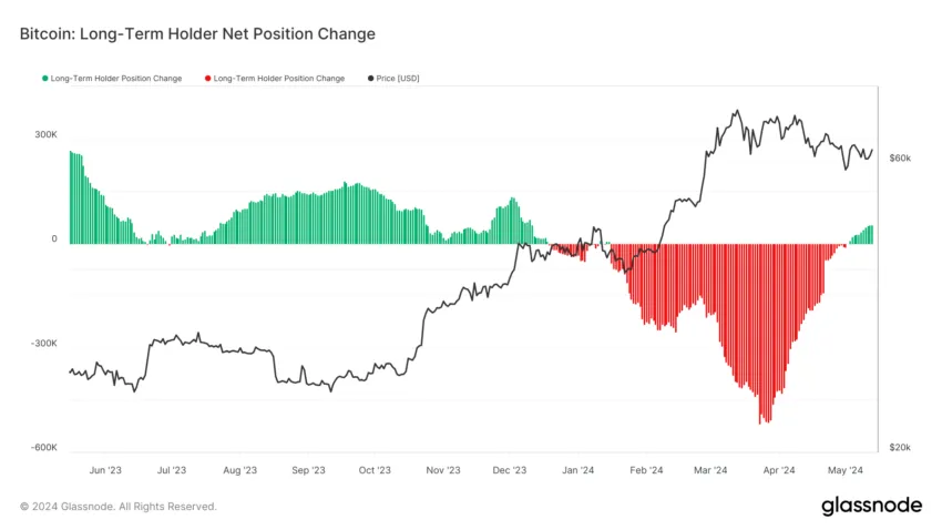 Bitcoin Holder Net Position