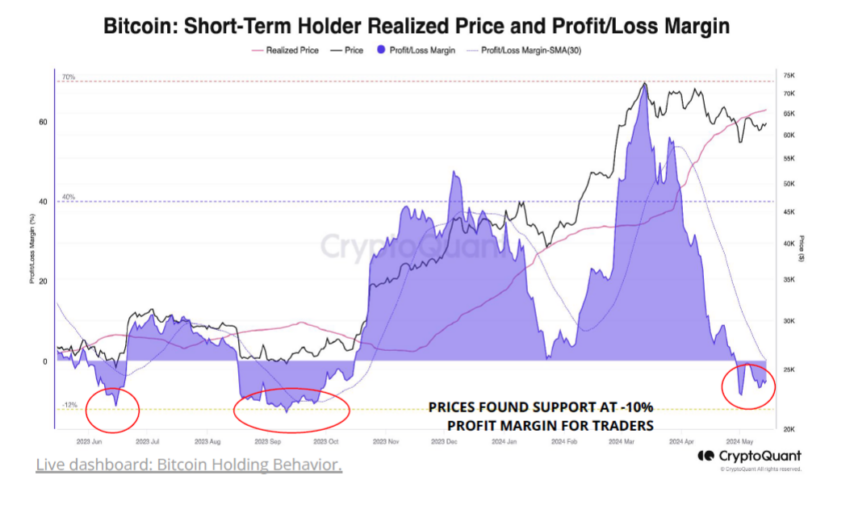 Bitcoin Short-Term Holder Realized Price and Profit/Loss Margin.