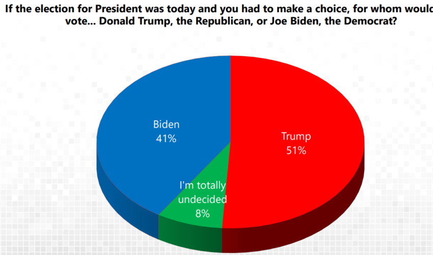 Crypto Voters Preference Between Trump and Biden.