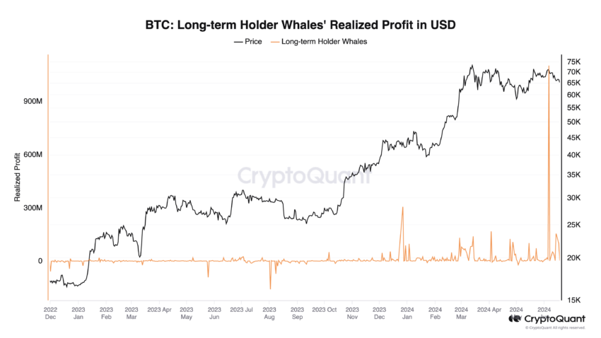 Bitcoin Whales Realized Profit