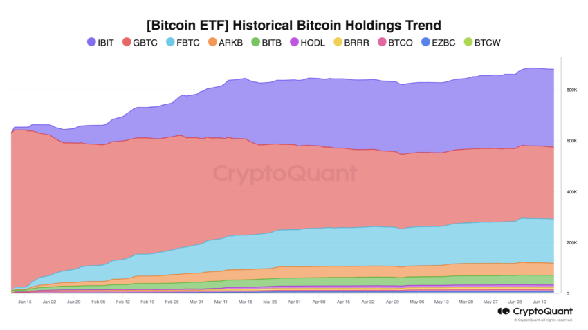 Partecipazioni storiche dell'ETF Bitcoin