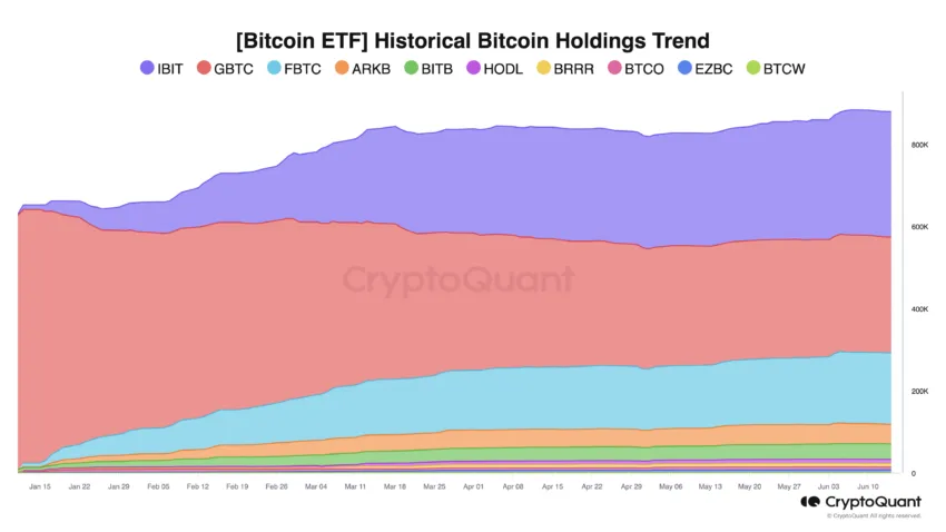 Bitcoin ETF Historical Bitcoin Holdings Trend 6