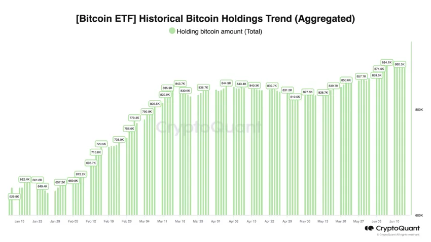 Bitcoin ETFs Holdings