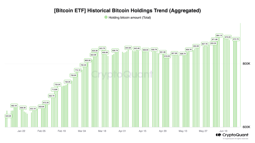 Bitcoin ETF holdings