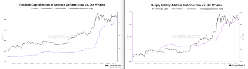 Indirizzi (saldo +10K) Fornitura e Cap. Realizzato. Fonte: CryptoQuant