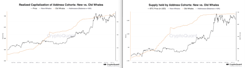 Long Term Whales Supply & Realized Cap. Source: CryptoQuant