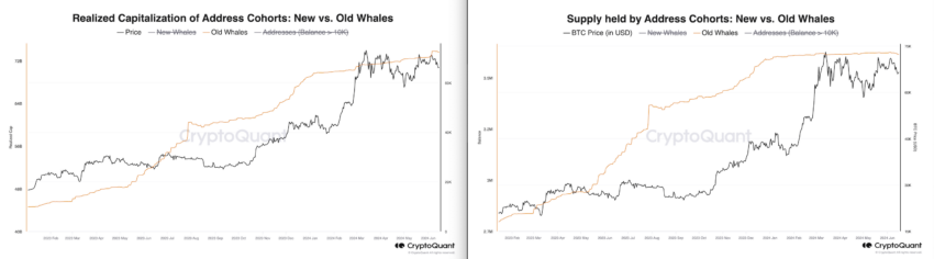 Fornitura di balene a lungo termine e limite realizzato. Fonte: CryptoQuant