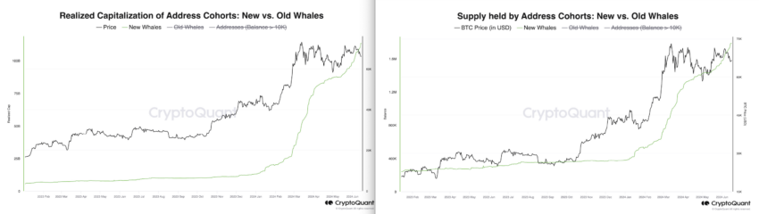 Short-term whale supply and realized caps. Source: CryptoQuant