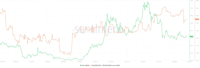 Cardano Whale Selling. 