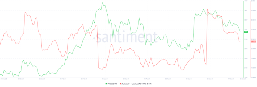 Ethereum whale holdings.