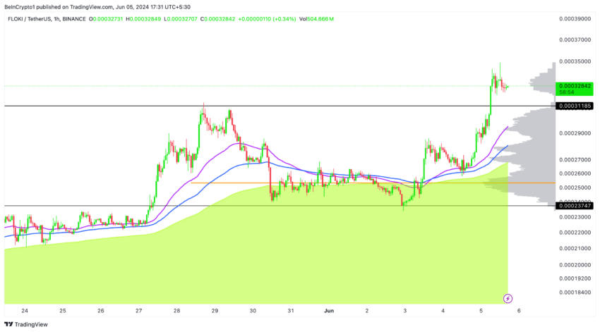 Floki's 1-Hour Price Analysis: TradingView