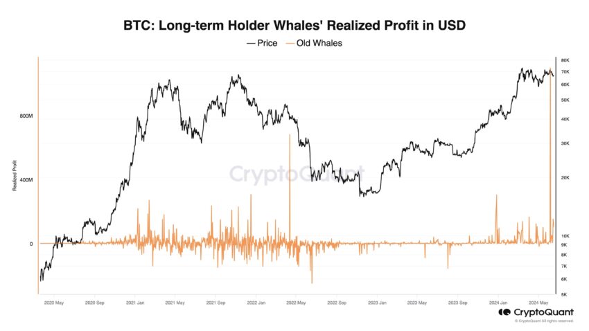 Realized returns of long-term Bitcoin holding whales (USD)