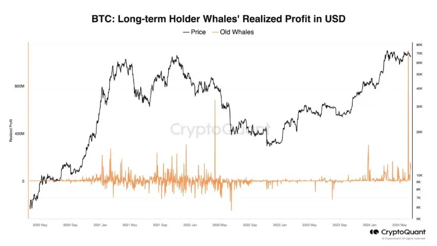 Bitcoin Long-Term Holder Whales' Realized Profit in USD