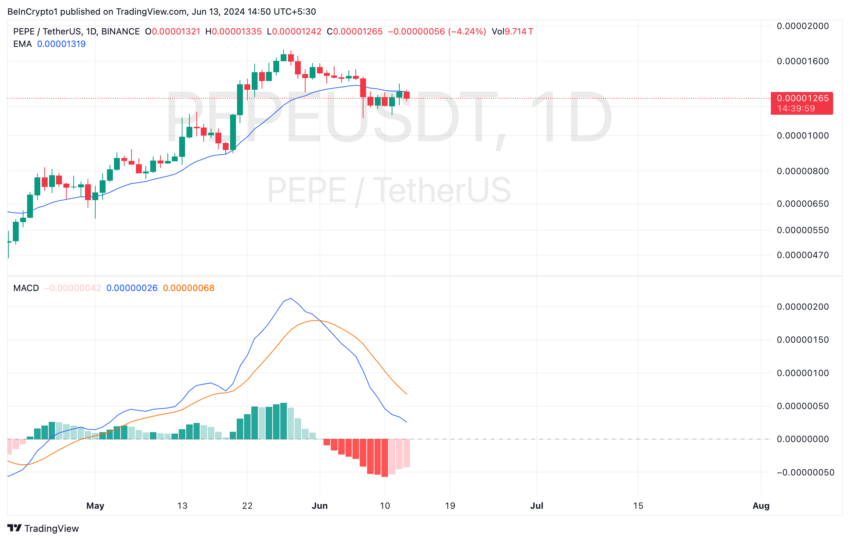 Pepe Analysis