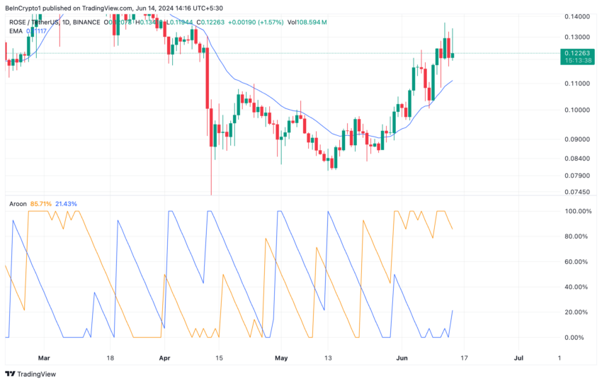 Analisi dell'oasi. Fonte: TradingView