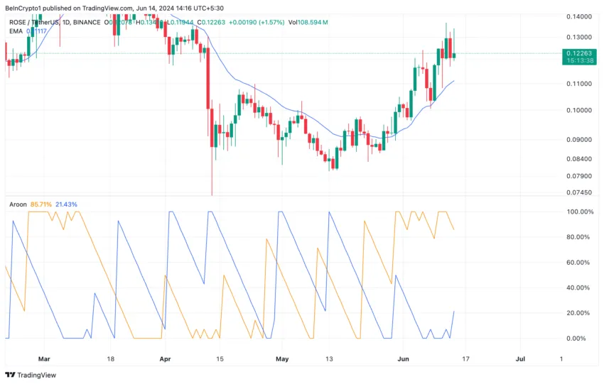 Oasis Analysis. Source: TradingView