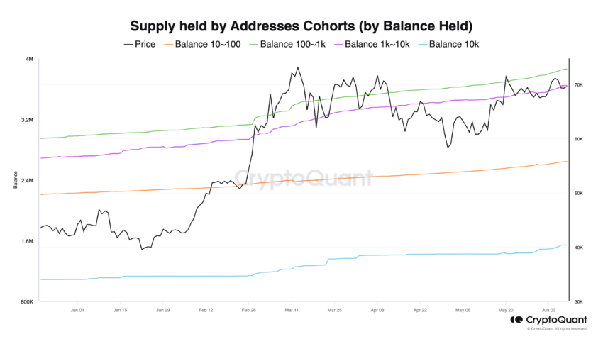 Bitcoin: Pasokan Dipegang oleh Paus. Sumber: CryptoQuant