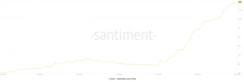 Toncoin Supply Distribution. Source: Santiment