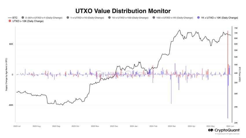 Bitcoin: UTXO Value Distribution Monitor.