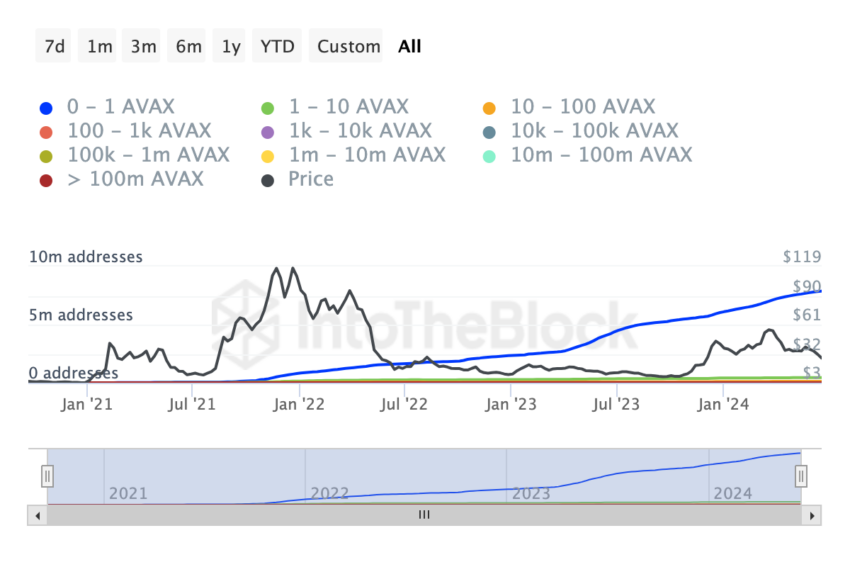 Large Avalanche (AVAX) investors accumulate