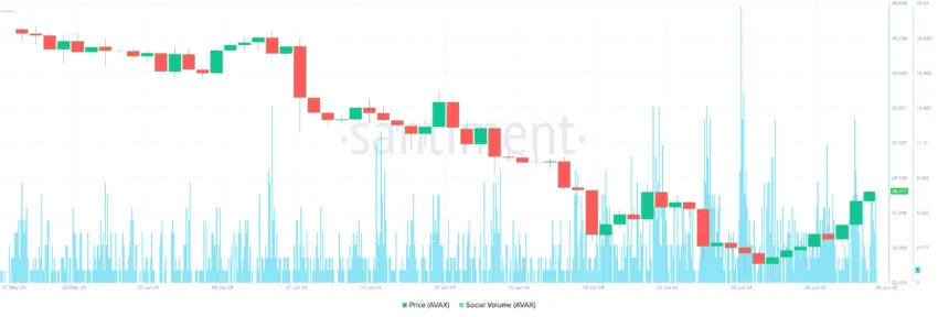 Search for AVAX online increases