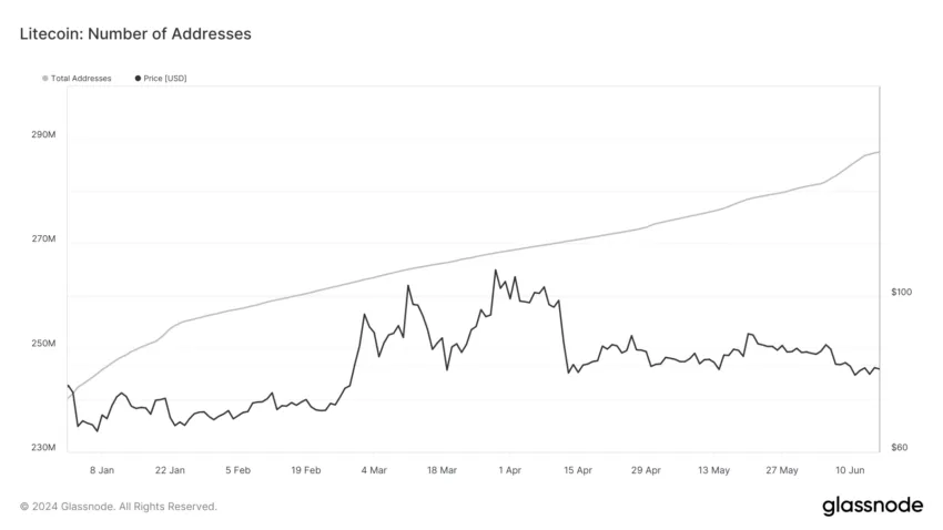 Litecoin: Number of Addresses. Source: Glassnode