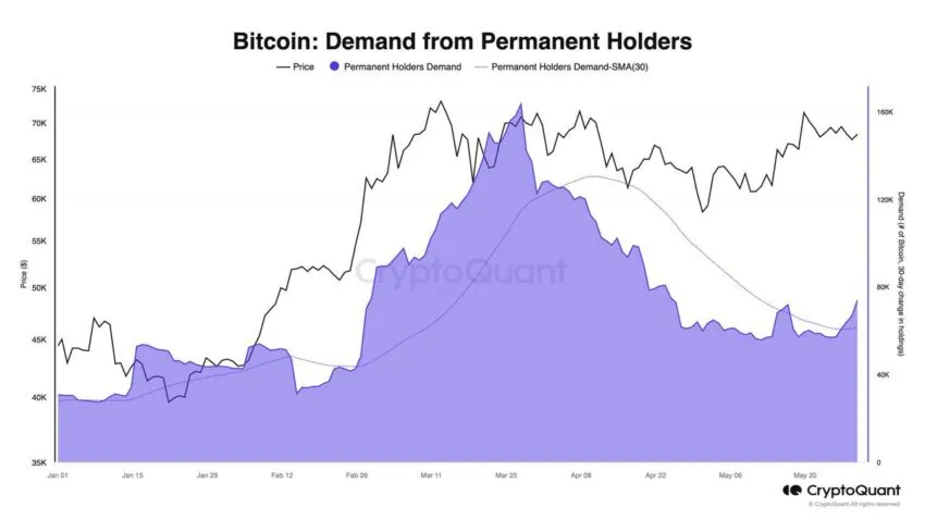 Bitcoin Permanent Holders Demand. 