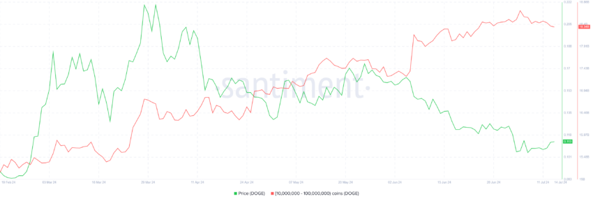 Dogecoin Well Holding. 