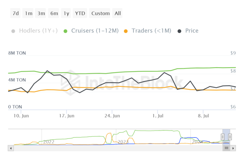 Distribuzione della fornitura di toncoin.