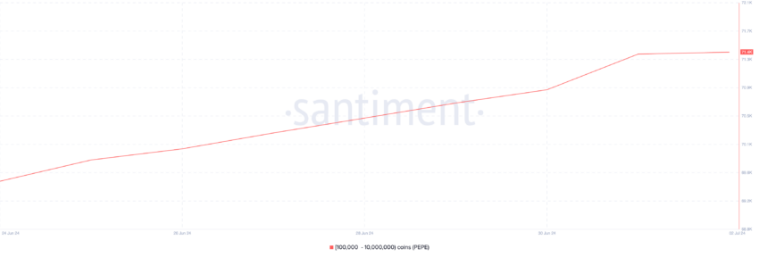 Pepe Supply Distribution. Source: Santiment