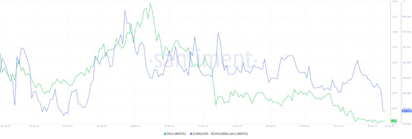 MATIC Whale Holdings. 