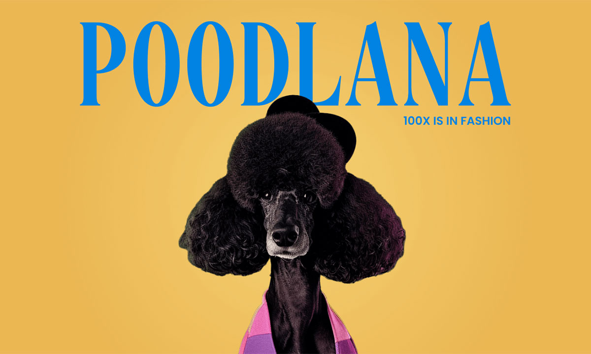 Poodlana Goes Viral in Asia: Anticipation Builds for Launch
