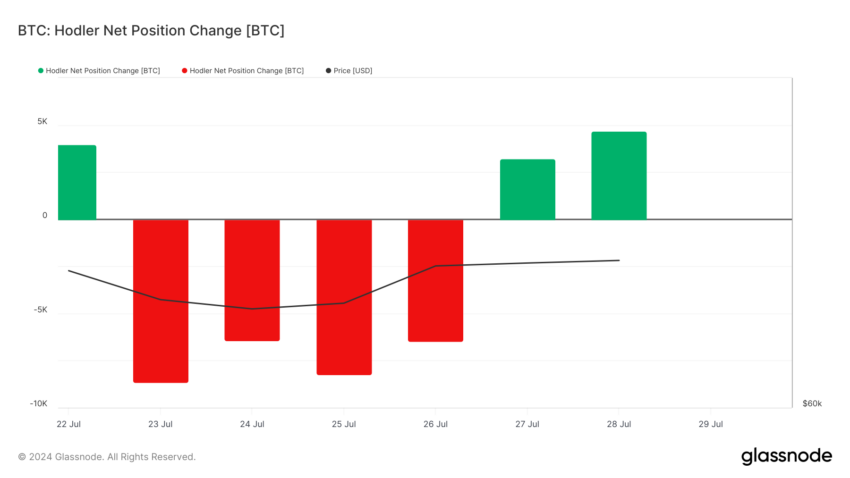 Bitcoin Hodler Net Position Change
