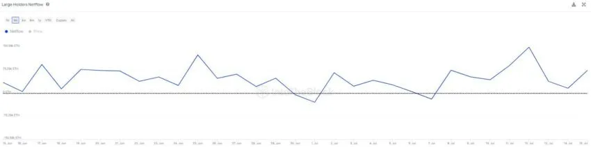 Large Ethereum Holders Netflow.