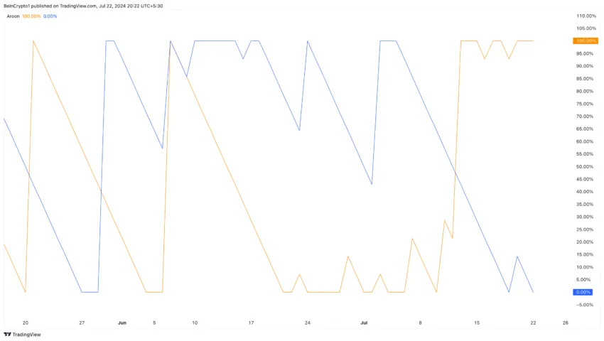Internet Computer Analysis