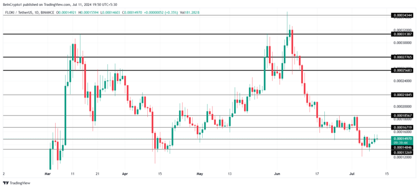 Floki Price Analysis. 