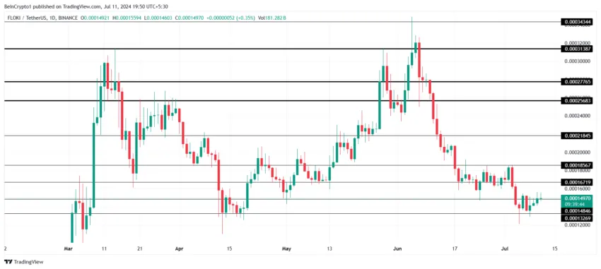 Floki Price Analysis.