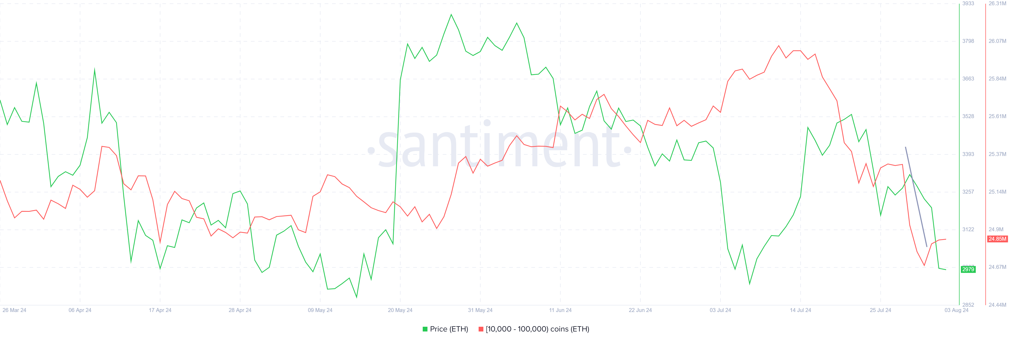 Ethereum Whale Holdings. 