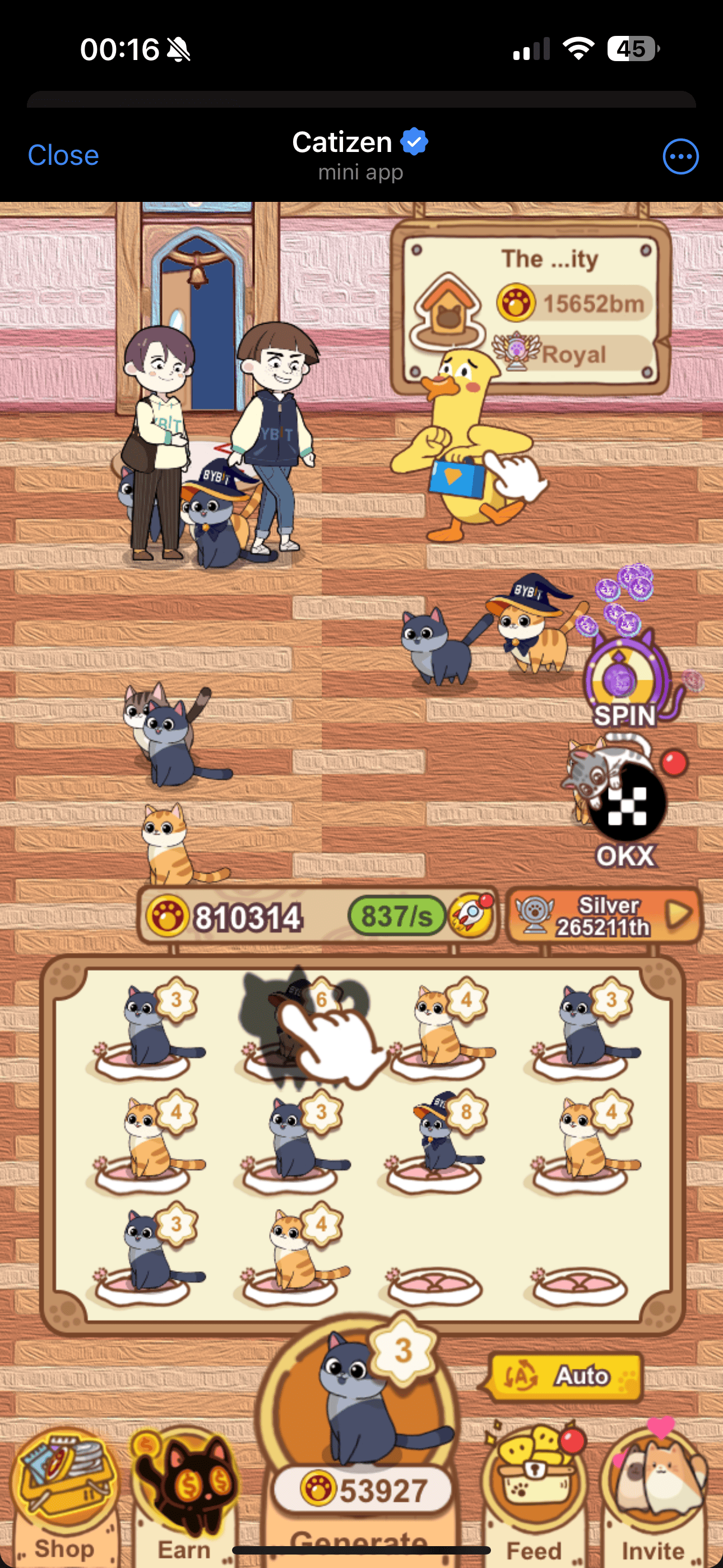 Catizen interface and cats