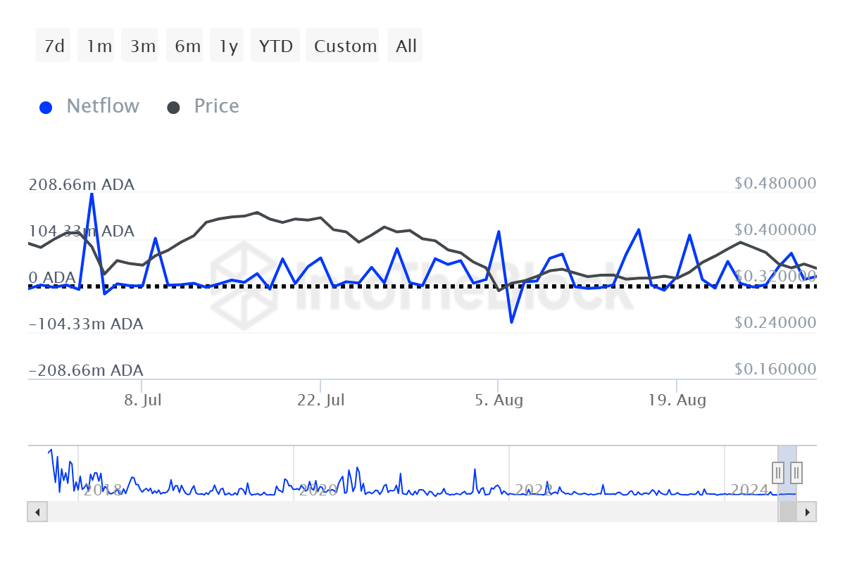 Cardano Whale Transactions. 