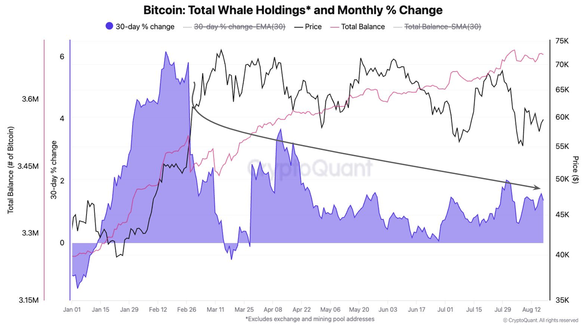 Bitcoin Whales' Holdings. 