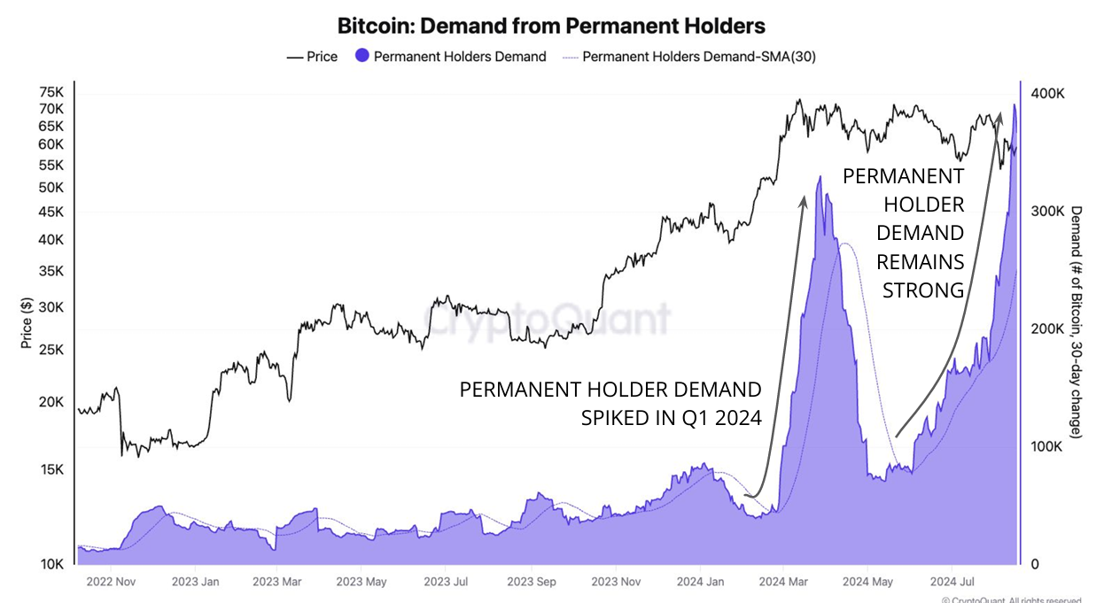 La domanda dei detentori permanenti di Bitcoin.