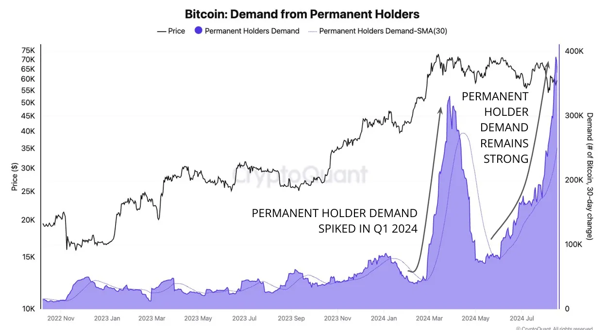 Bitcoin Permanent Holders' Demand. 