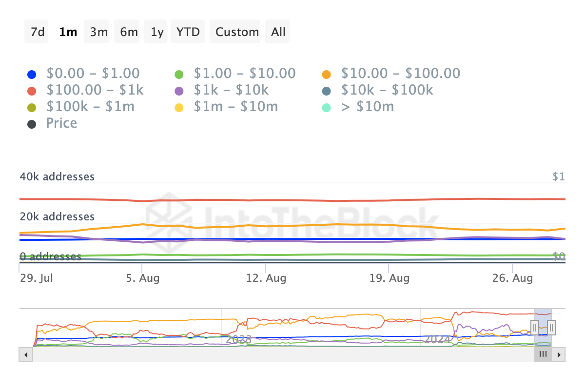 Floki Holdings Distribution