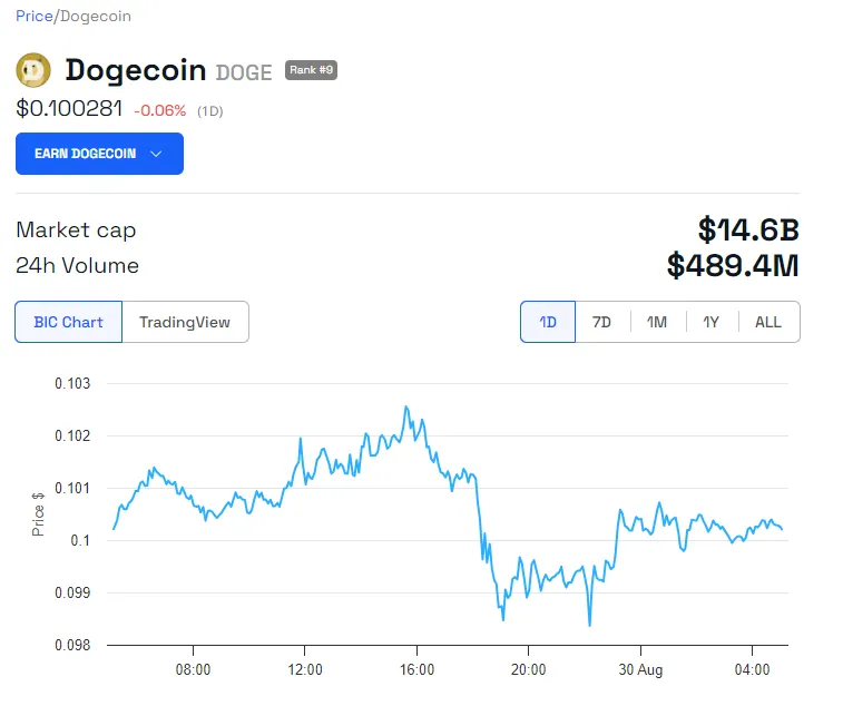 DOGE Price Performance.