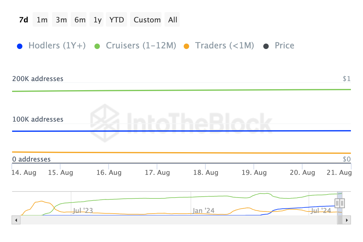 pepe short term holders