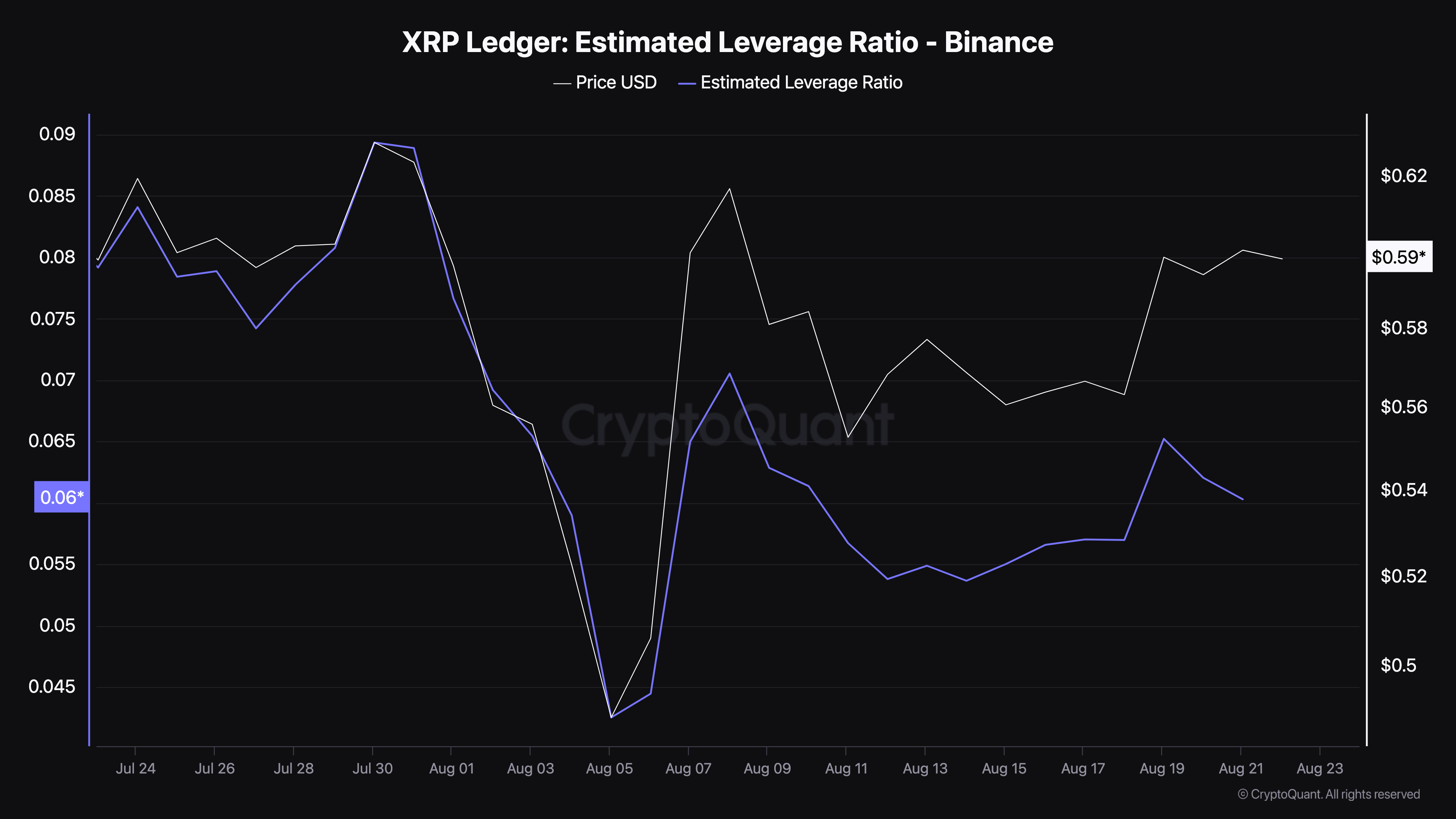 Rapporto di leva stimato XRP.