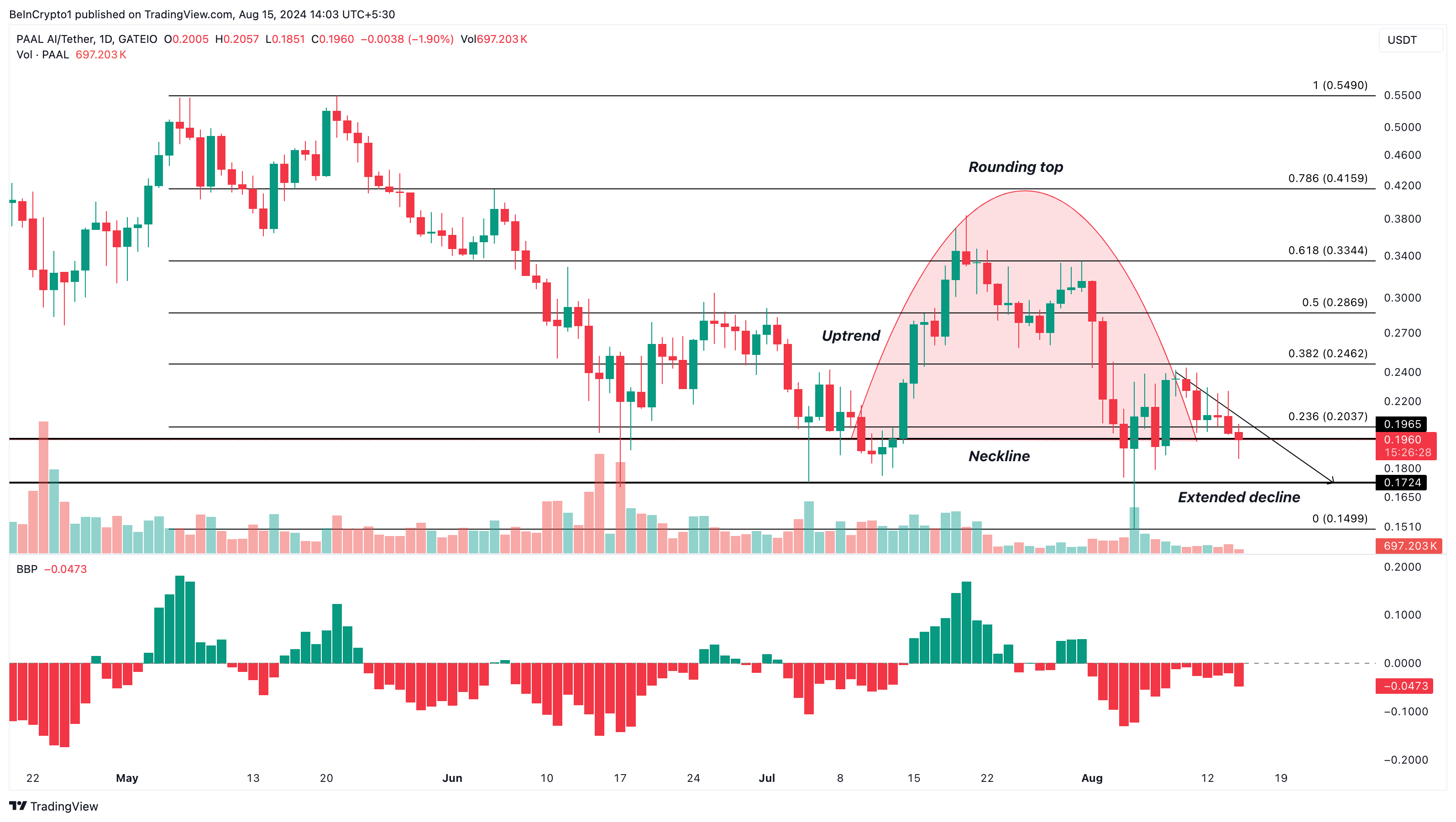 PAAL AI daily analysis. 