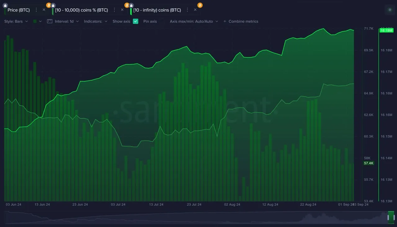 Bitcoin Whale Activity.