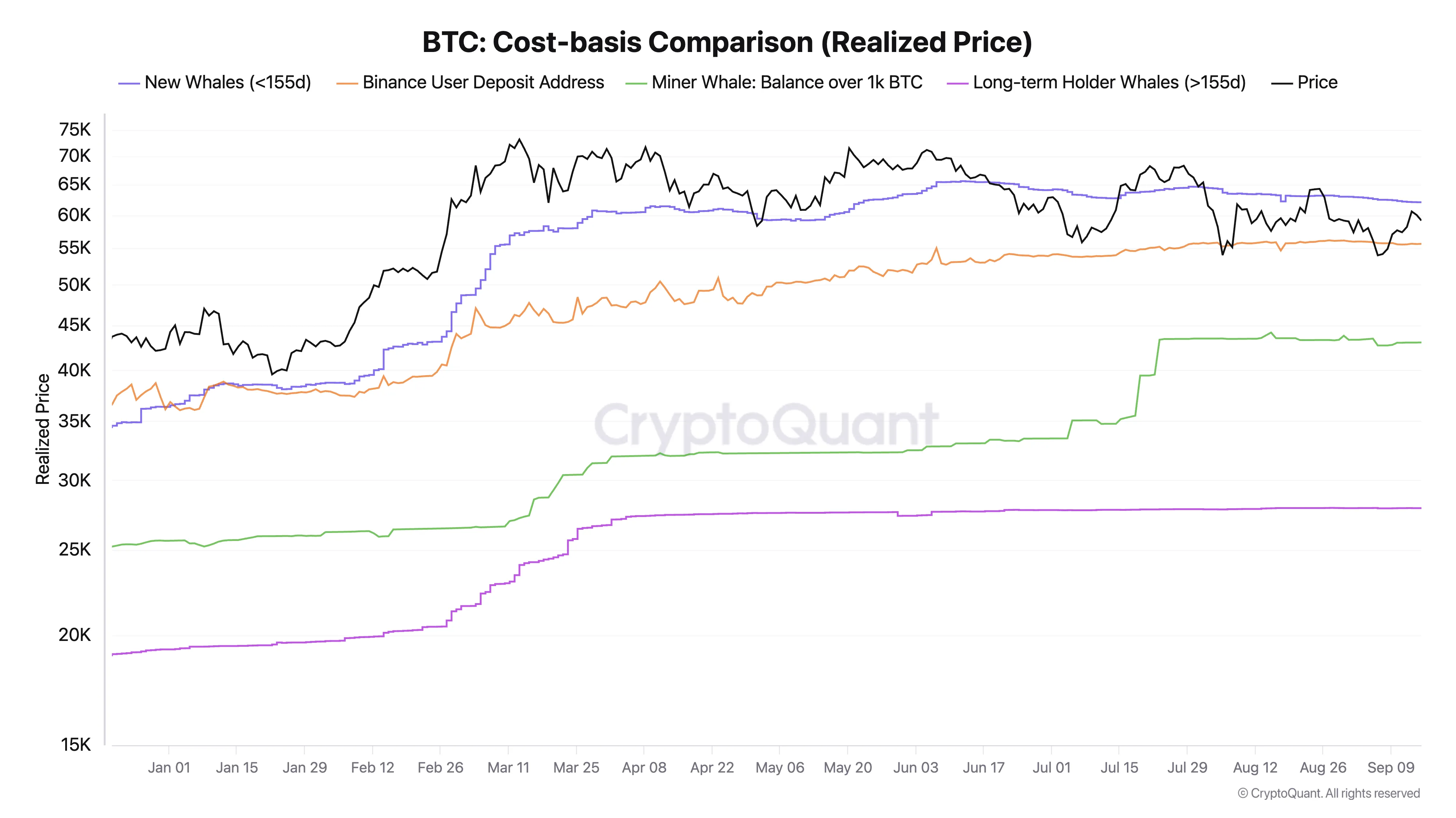 Bitcoin Cost Basis